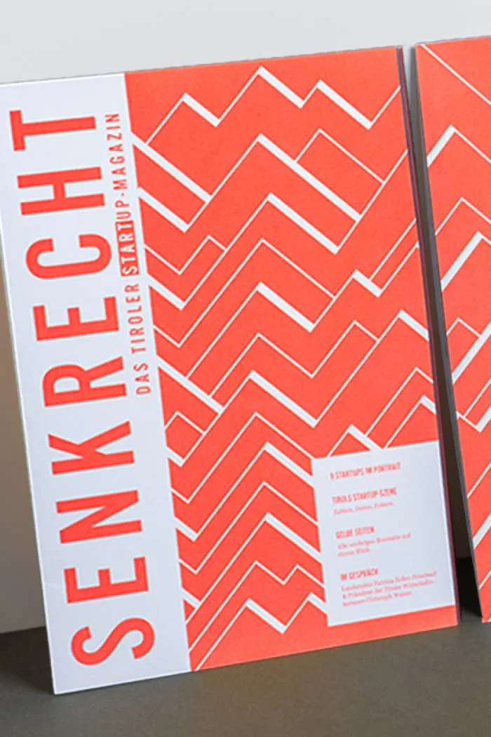 Rot gestaltete Ausgabe des Magazins Senkrecht an weiße Wand gelehnt. Das Cover zeigt weiß schraffierte Linien die an Berggipfel erinnern. 