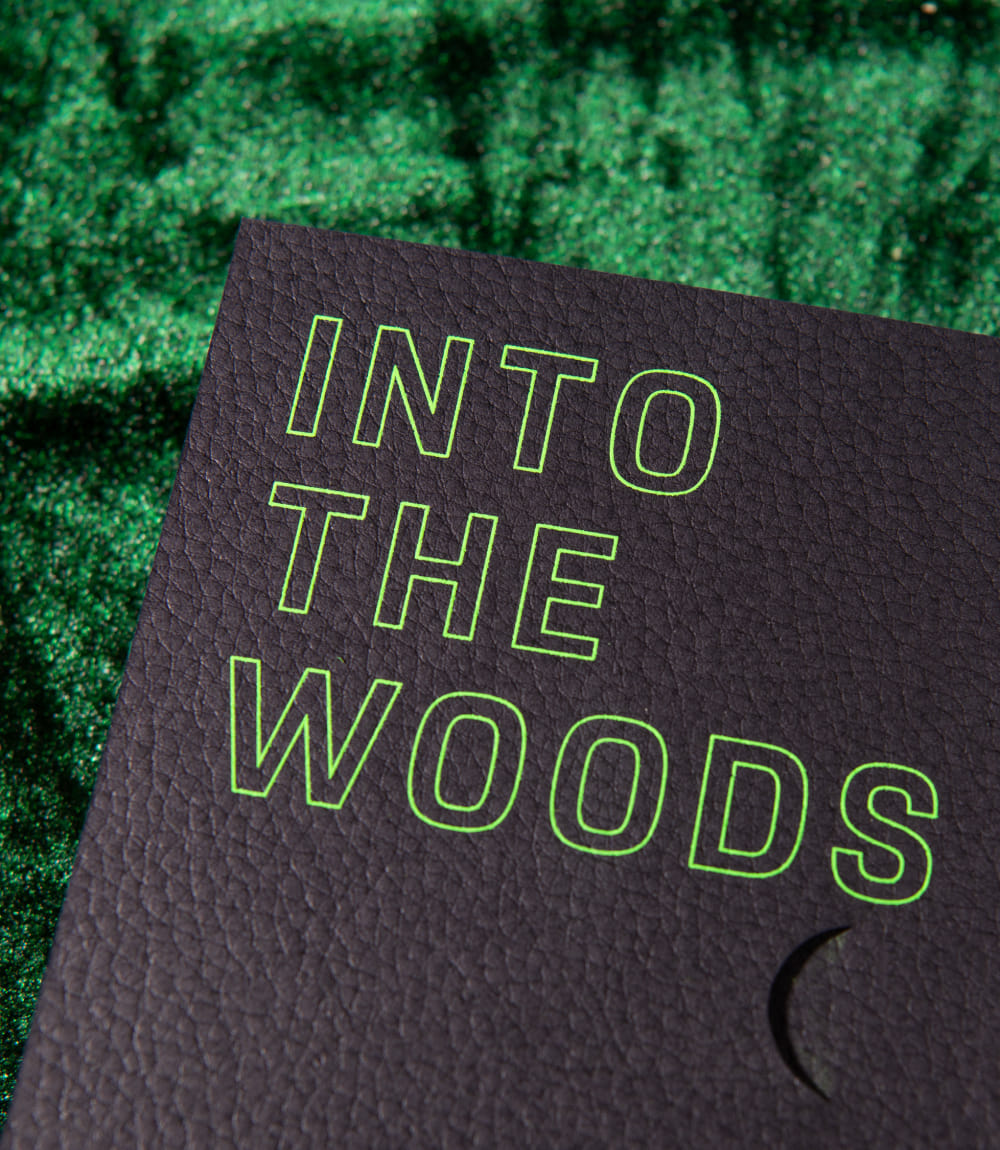 Vor dunkelgrünem Satinstoff ist eine schwarze Mappe in Lederoptik zu sehen, mit grün schraffierter Aufschrift INTO THE WOODS.