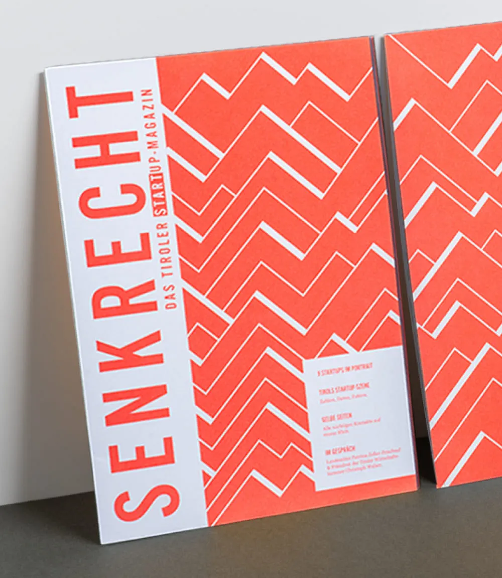 Rot gestaltete Ausgabe des Magazins Senkrecht an weiße Wand gelehnt. Das Cover zeigt weiß schraffierte Linien die an Berggipfel erinnern. 