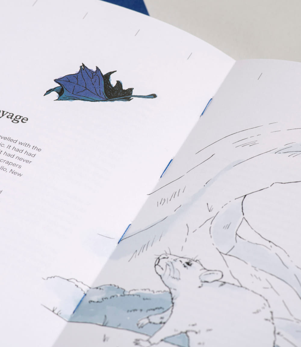Aufgeschlagenes Buch mit einer illustrierten Szene, in der ein blaues Blatt vom Himmel fällt und eine Maus es erstaunt betrachtet.